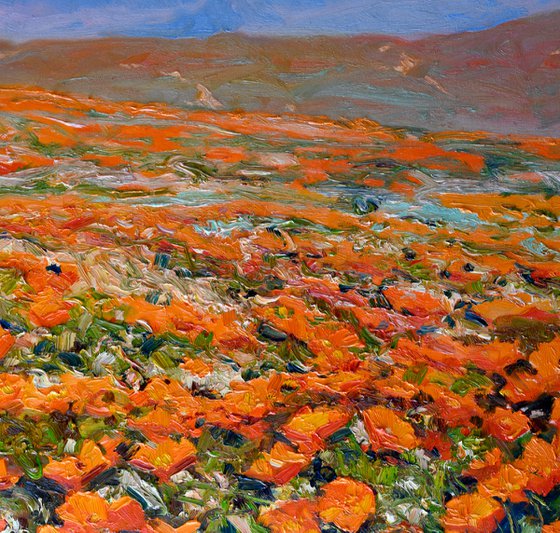 Antelope Valley, Golden Poppies