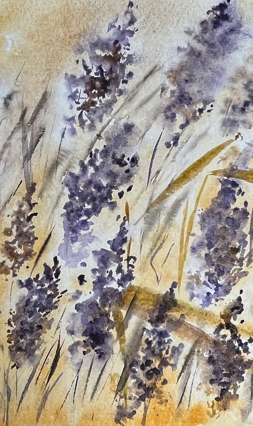 Meadow Purple Grass by Halyna Kirichenko