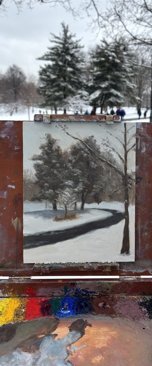 Snow in Prospect Park by Stanley Chu