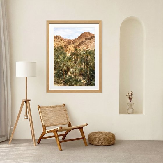 Oasis