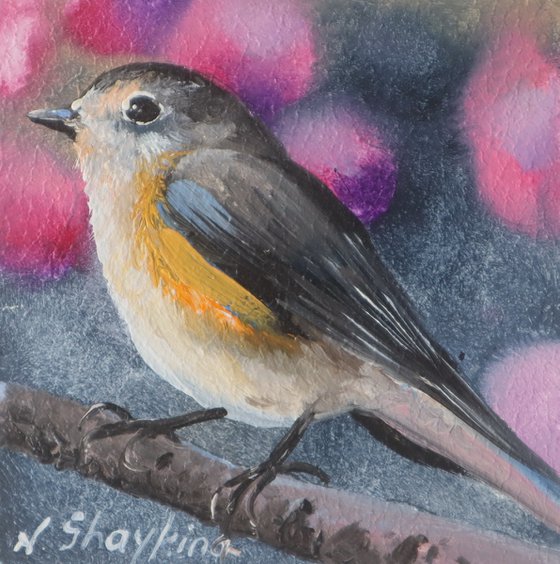 Birds in Golden Frames