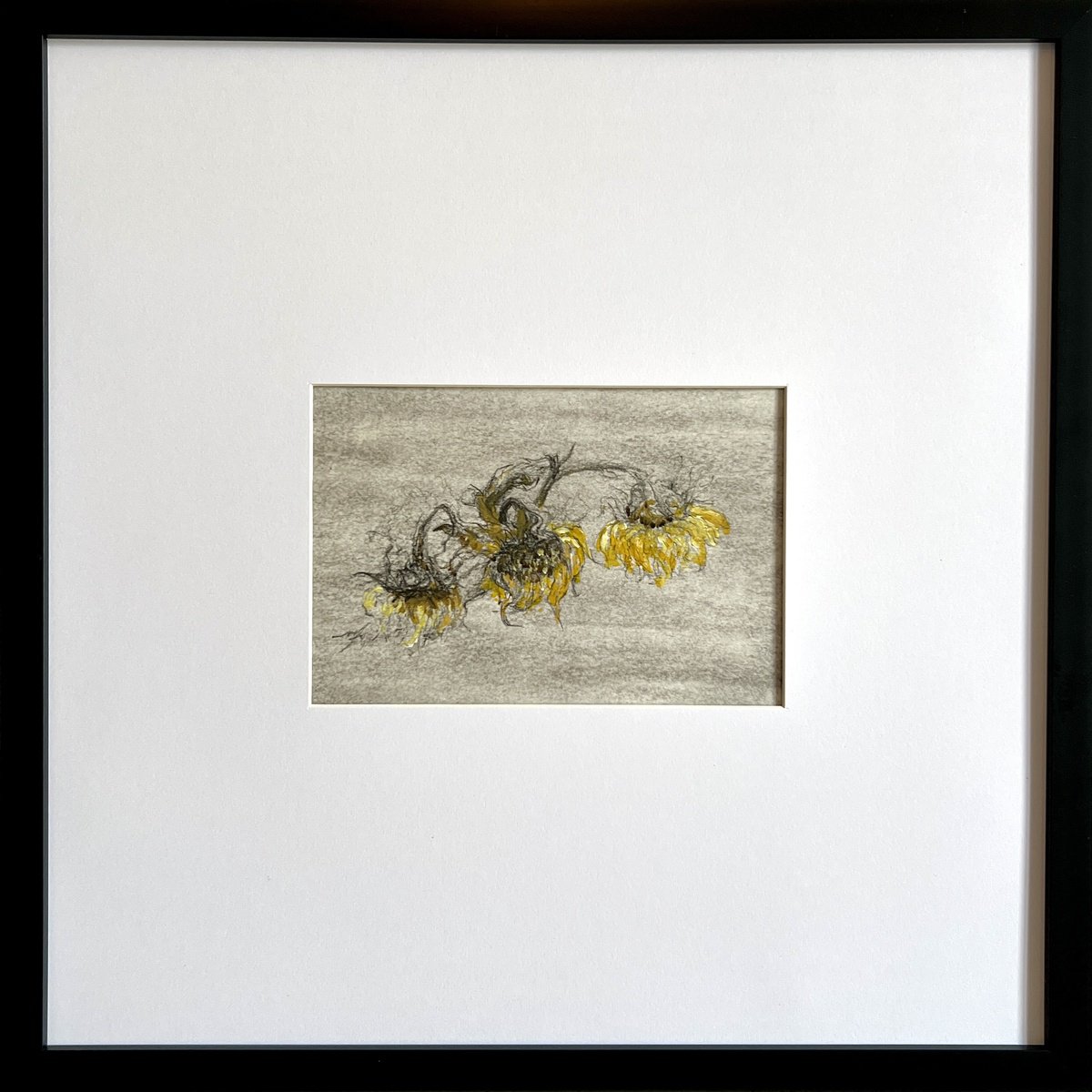 Impressionistic Botanical Painting By Maxence Ma, 16 X 16", Faded Sunflowers, Original Artwork