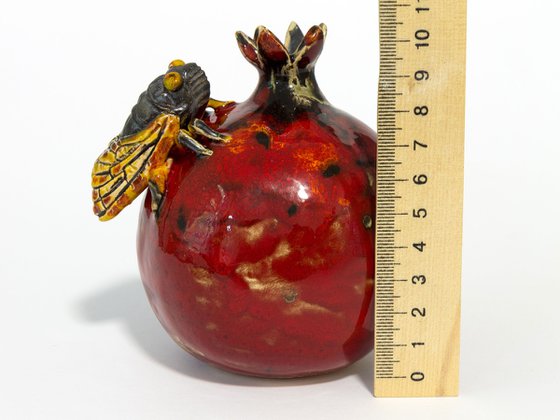 Cicada and pomegranate
