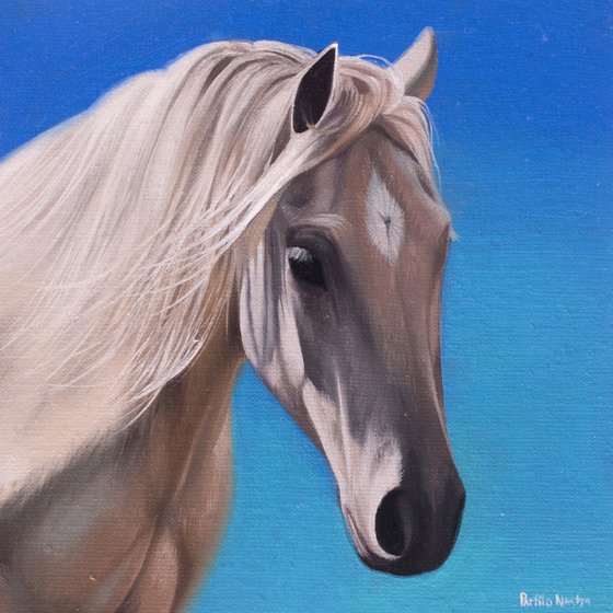 Horse Portrait 53