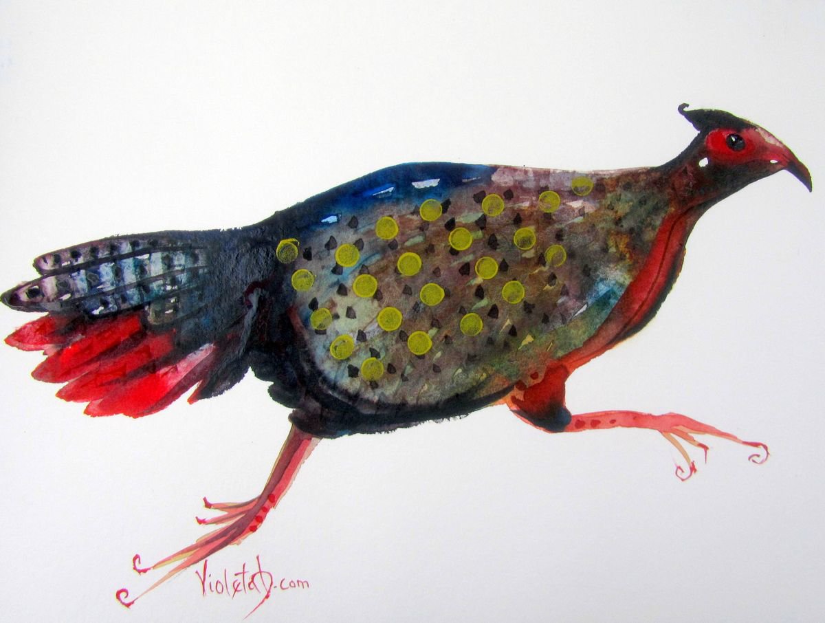 Female Pheasant by Violeta Damjanovic-Behrendt