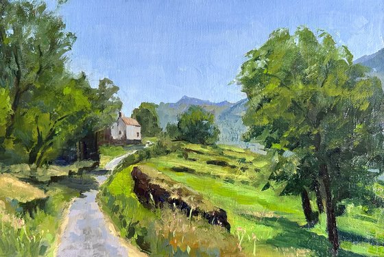 Pyrenees landscape