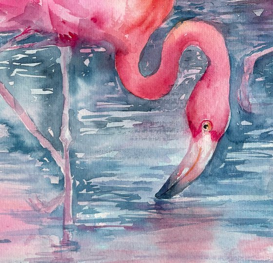 Flamingo Lagoon