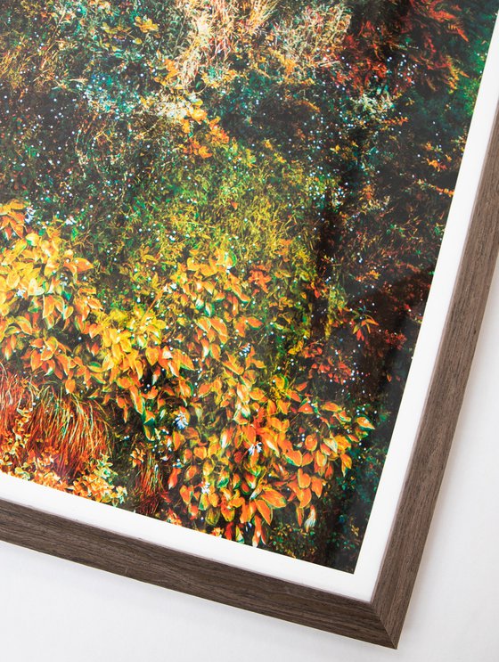 Wall of Nature LXVII (Framed)