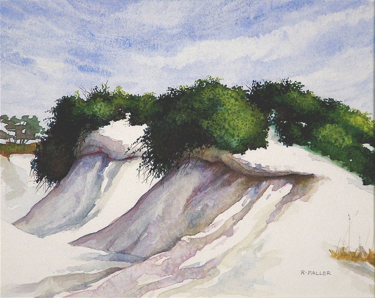 Photorealistic Landscape Watercolour By Rick Paller, 14 X 12", Dunes On St. Andrews, Original Artwork