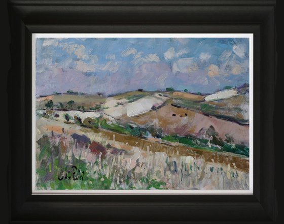 The Downs nearr Findon