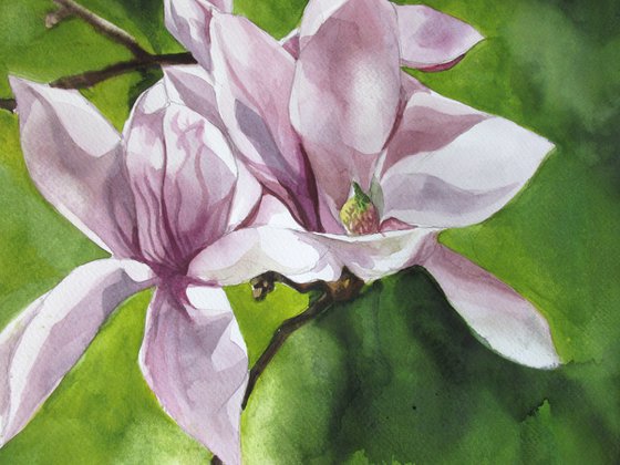 sign of spring
