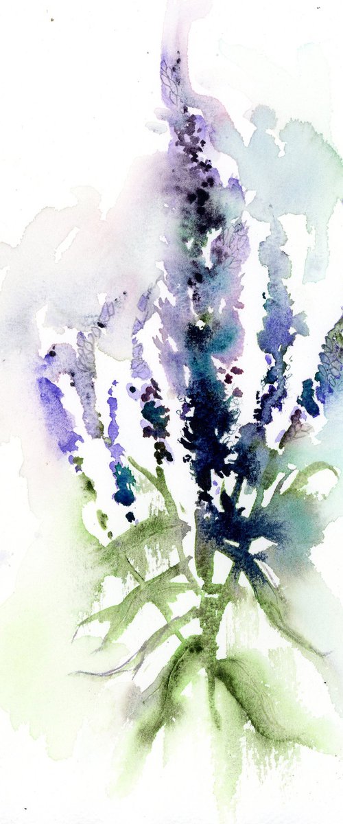 Veronica Sativa -- bouquet by Alex Tolstoy