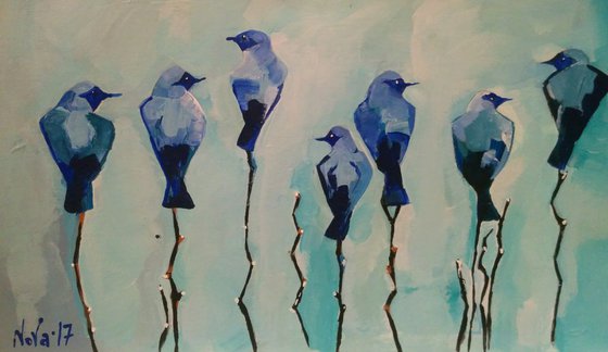 Little Blue Birds