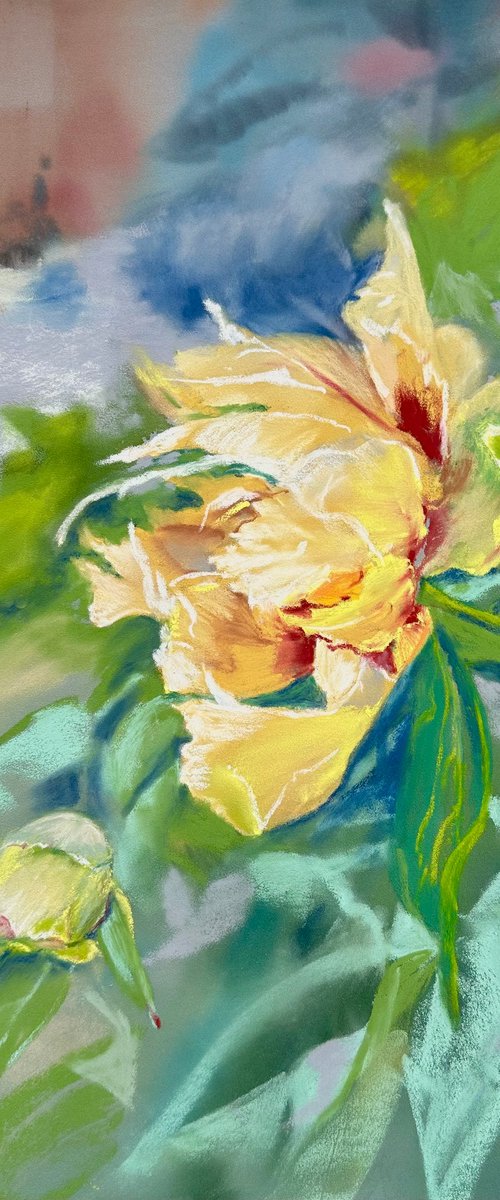 Floral: Yellow Peony by Alla Semenova