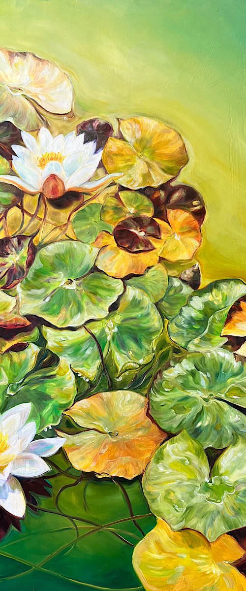 Insights- Waterlily painting by Anita Nowinska