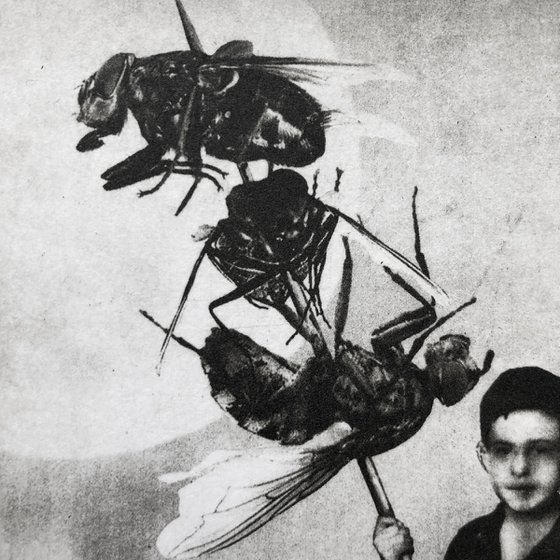 The Boy and The Stake
