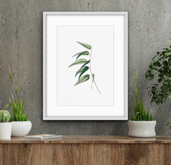 Eucalyptus dance. Original watercolour artwork.