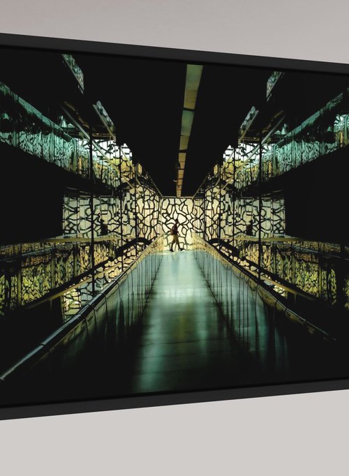 X-rays by Hyun De Grande