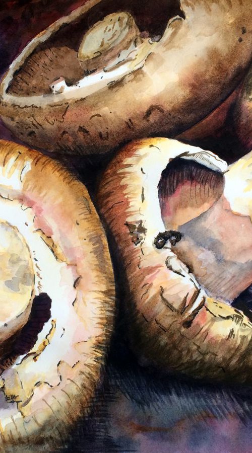 Mushrooms by Richard Impey