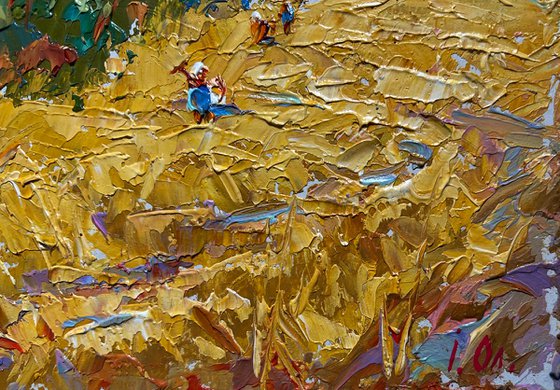 Sunny day in the field