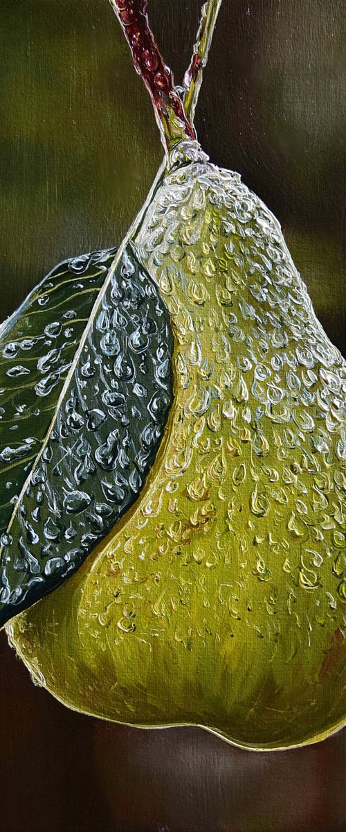 Pear by Elena Adele Dmitrenko