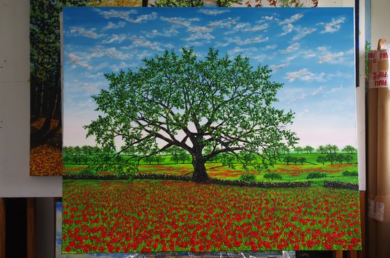 A feild of Poppies
