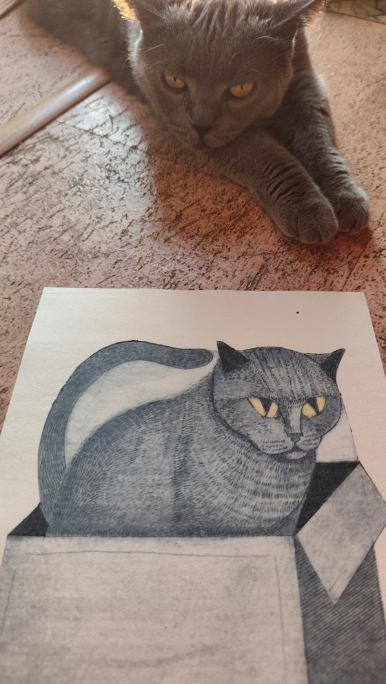 My Cat Theodor.