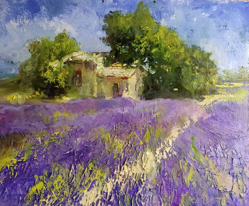 Lavendelfeld , Impasto , Palette Knife by HELINDA (Olga Müller)