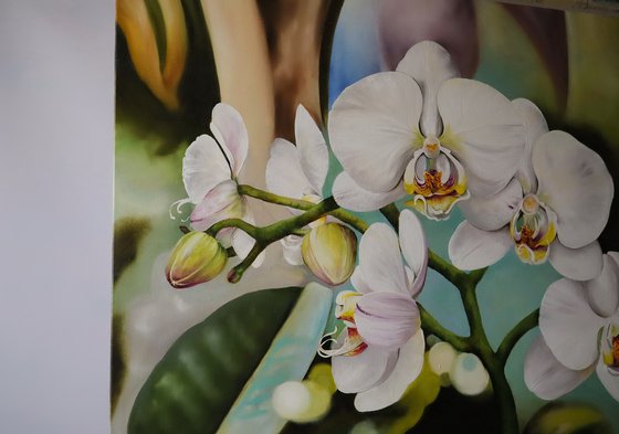 White Orchids Floral