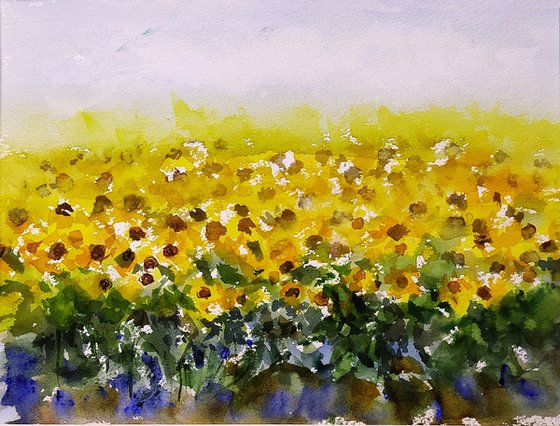 Set of water lilies and sunflower fields