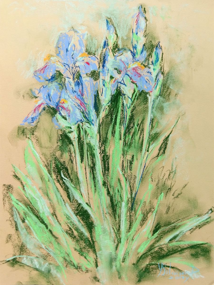 Flower power - Irises #2 by Daria Yablon-Soloviova