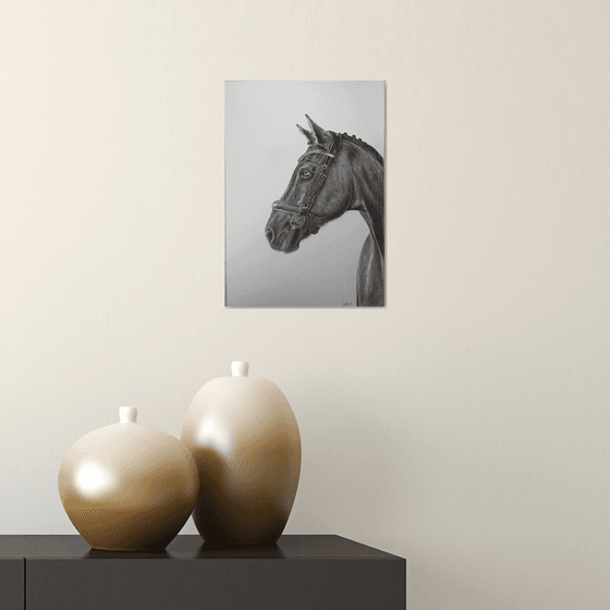 Horse portrait