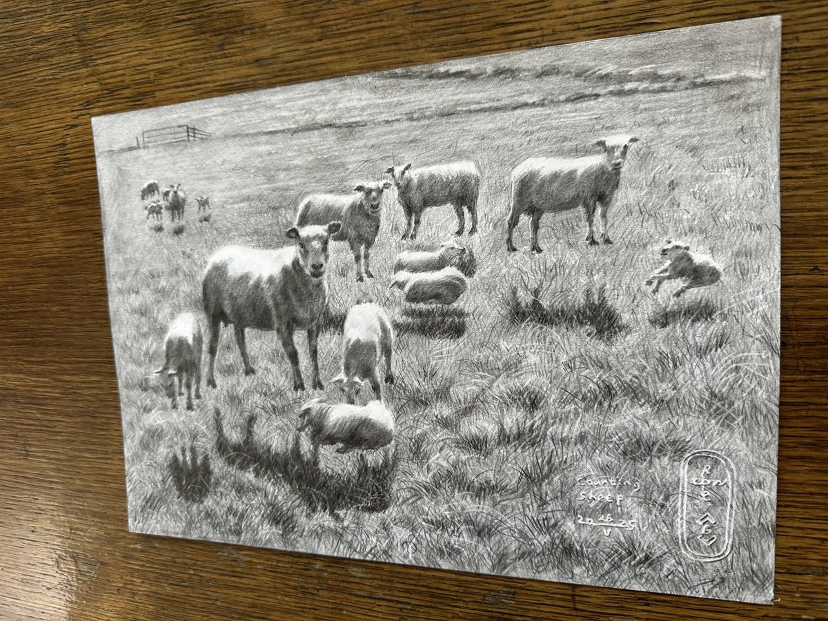 Impressionistic Animal Pencil Drawing By Corne Akkers, 12 X 8, Counting Sheep - 26-05-25, Original Artwork