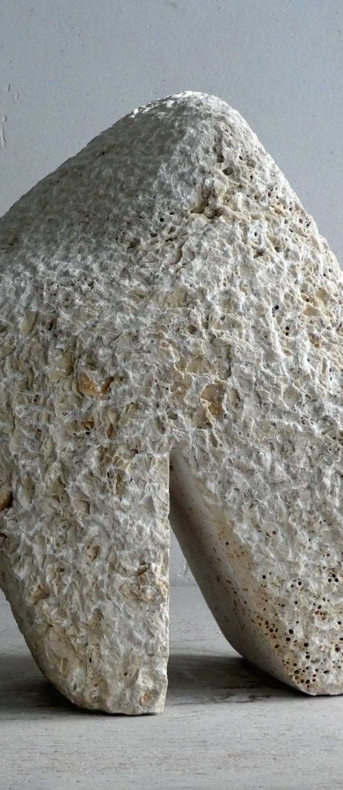 Stand Firm by Fieke de Roij