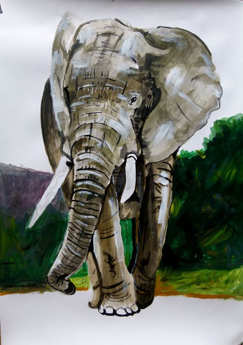 Elephant by Soso Kumsiashvili