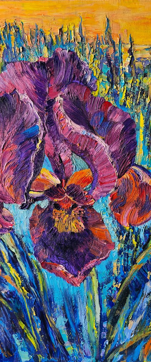 Purple Iris at Sunset by Anastasiia Aguf