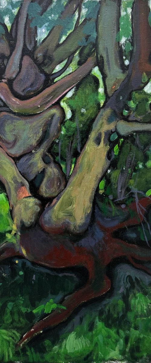“Landscape” by Raffi Ghazaryan