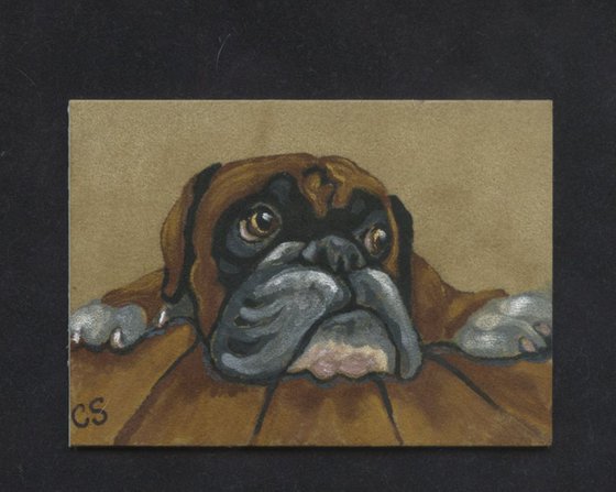 ACEO ATC Original Suede Painting Boxer Pet Dog Art-Carla Smale