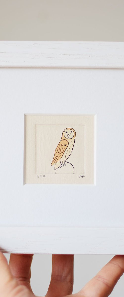Barn owl by Sally Fisher