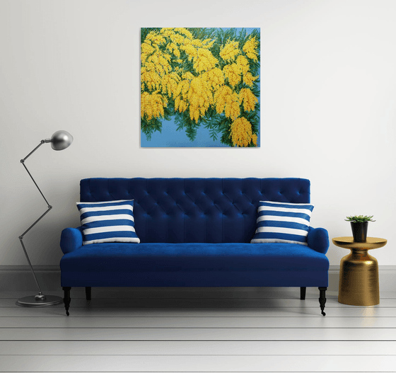 Mimosas in Bloom