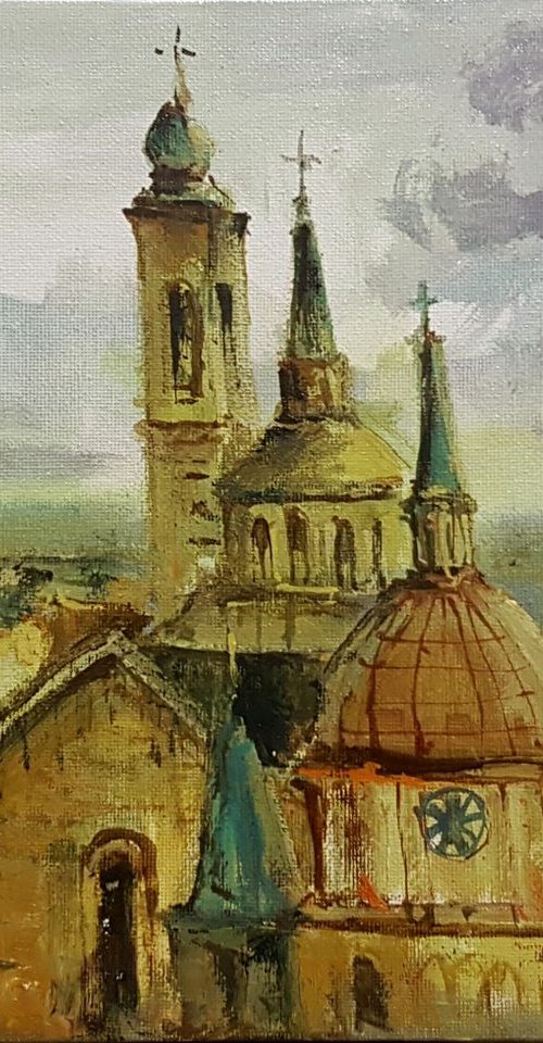 From a Bird's Eye View by Livija D. G.