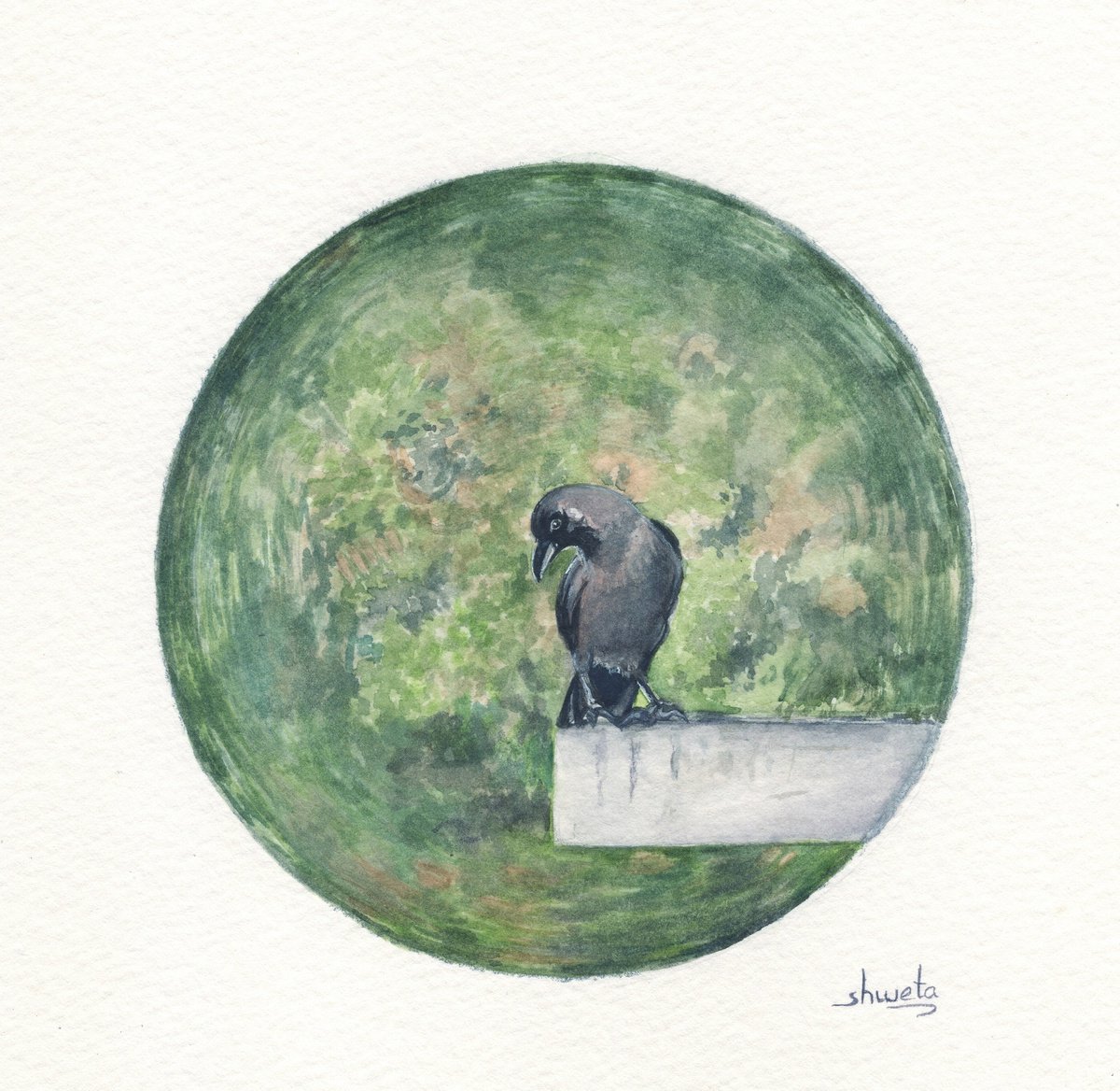 Indian Crow Watercolor Painting by Shweta Mahajan