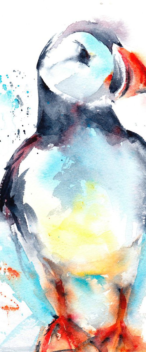Puffin by Anjana Cawdell
