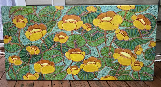 Yellow water Lilies