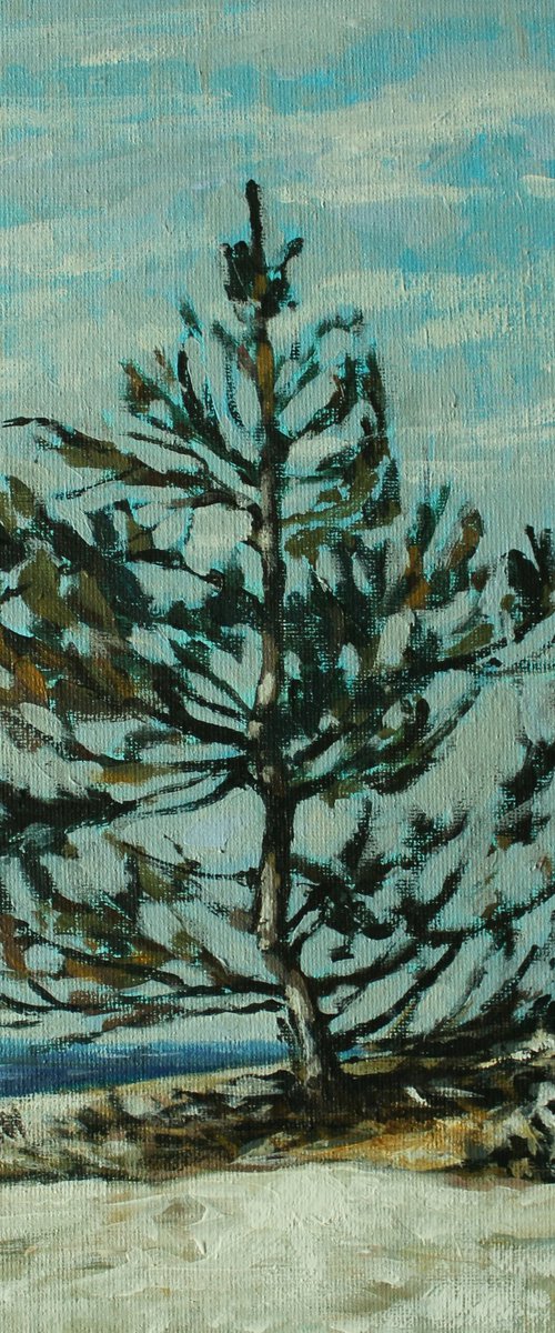 Seascape with a pine tree by Joanna Plenzler