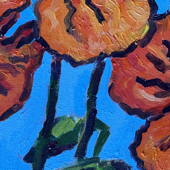 Poppy flowers