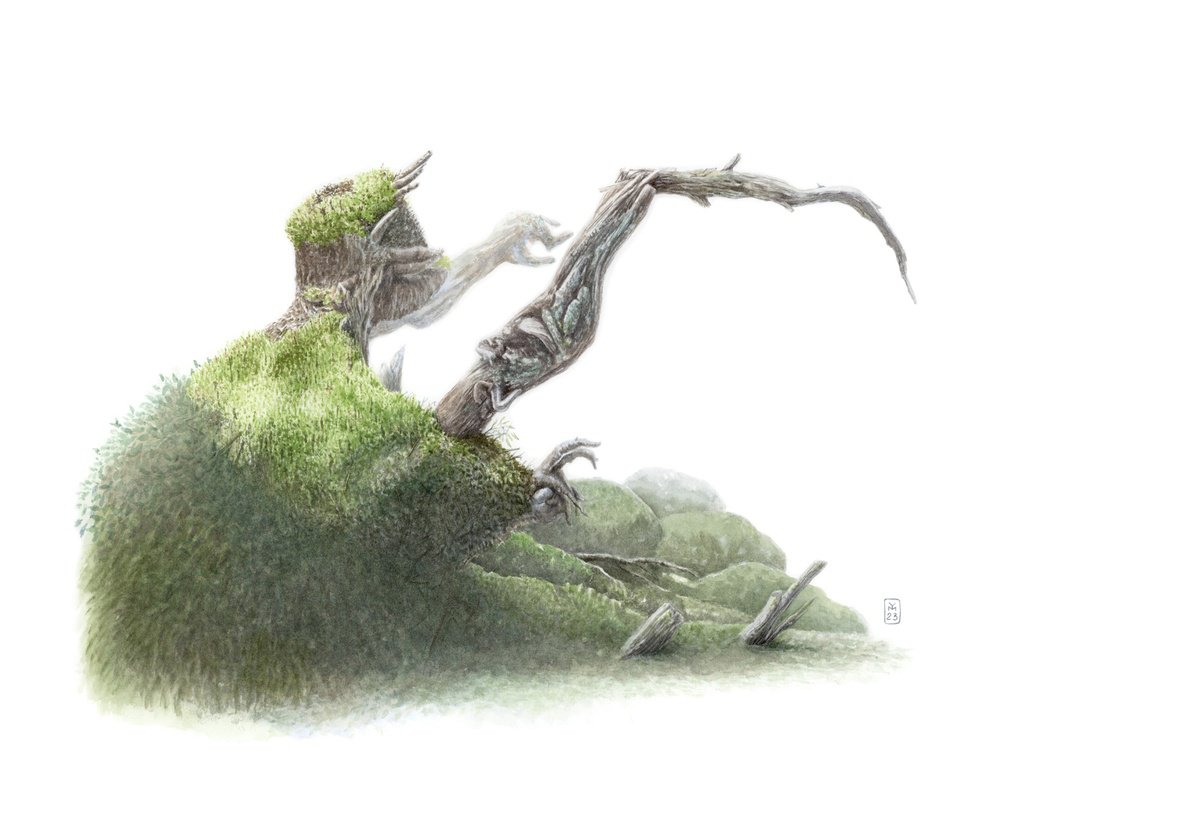 Photorealistic Botanical Watercolour By Yuliia Moiseieva, 22 X 15", Wood Beast, Original Artwork