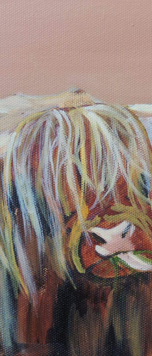 Highland cow art made in Scotland by Gordon Bruce