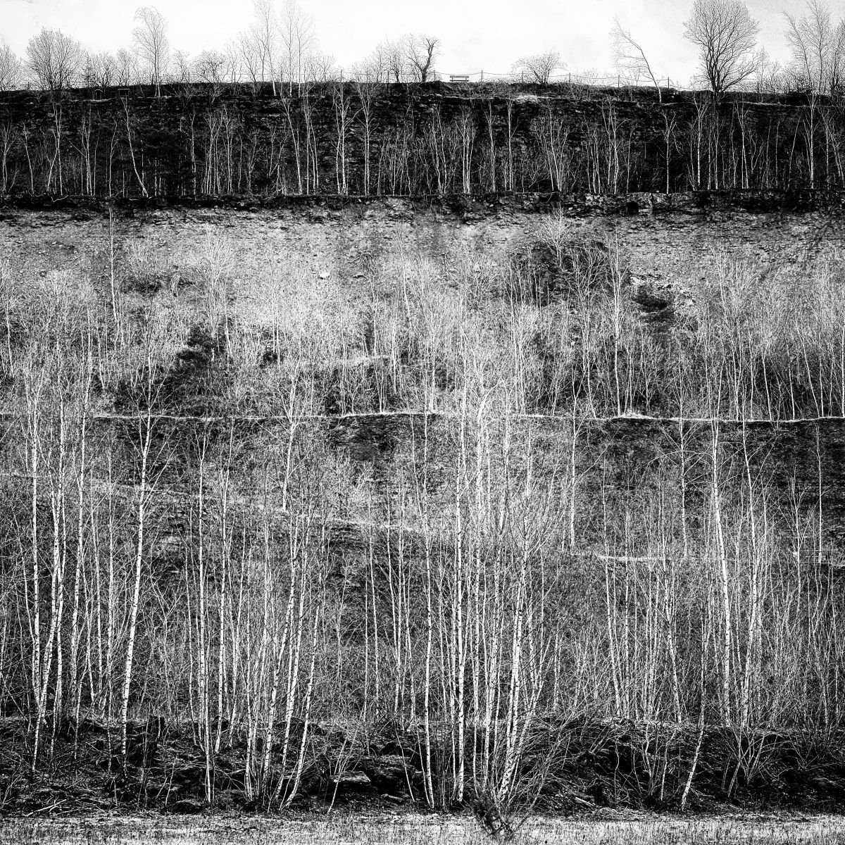 Photorealistic Photograph , The Layers By Christian Schwarz, 17 X 17, Artwork For Sale On Artfinder