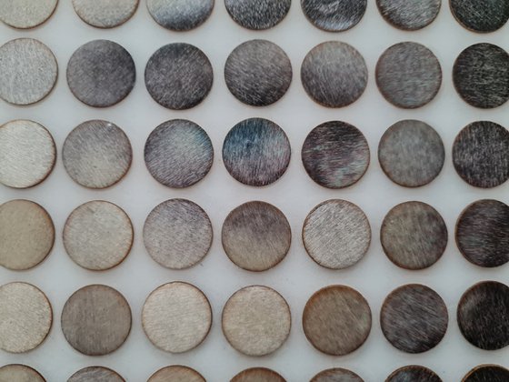 I came last night (n.726)